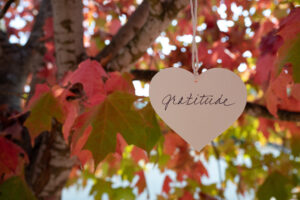 Un coeur en bois où il y est écrit "gratitude"