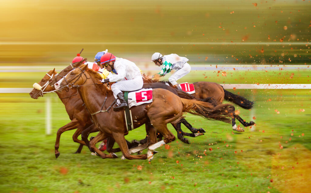 Une course de chevaux 